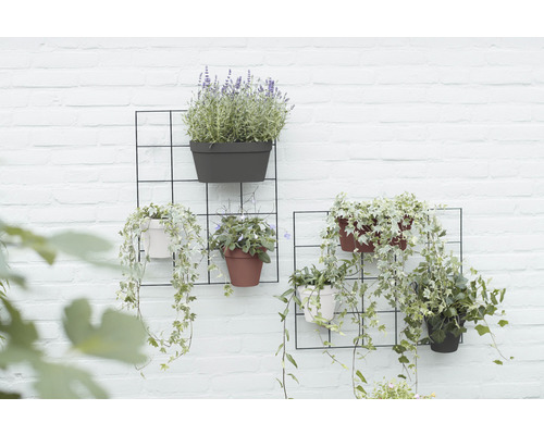 Decoratieve wanddecoratie met plantenbakken en planten op een witte bakstenen muur