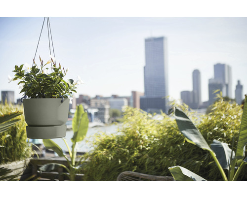 Hangende bloempot met plant voor stadsgezicht