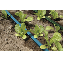 Irrigatiesysteem met sla planten in een tuinbed