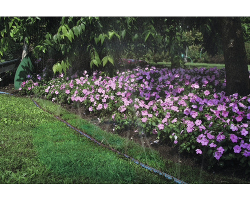 Irrigatiesysteem in tuin met bloembed en gazon