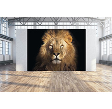 SPECIAL DECORATION Wanddoek Leeuw 350x250 cm