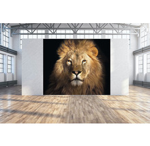 SPECIAL DECORATION Wanddoek Leeuw 300x250 cm