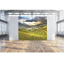 SPECIAL DECORATION Wanddoek Sawah 300x250 cm