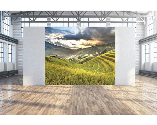 SPECIAL DECORATION Wanddoek Sawah 300x250 cm