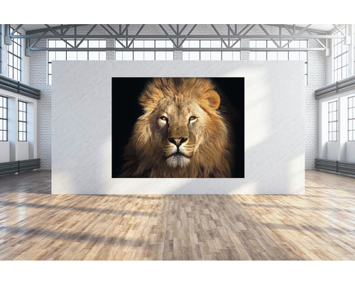 SPECIAL DECORATION Wanddoek Leeuw 250x190 cm SPECIAL DECORATION Wanddoek Leeuw 250x190 cm