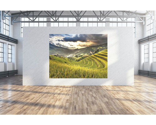 SPECIAL DECORATION Wanddoek Sawah 250x190 cm SPECIAL DECORATION Wanddoek Sawah 250x190 cm