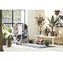 Twee vrouwen zitten in een kamer met kamerplanten in potten.