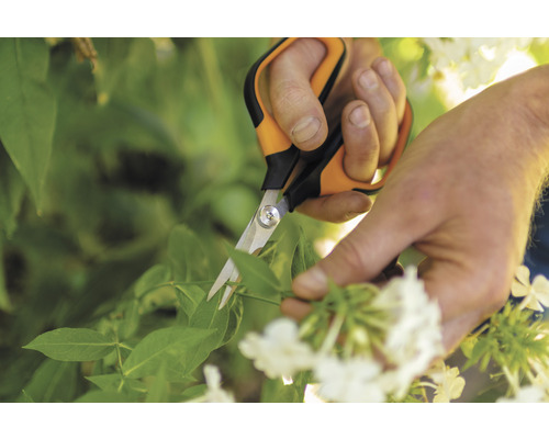 Tuinschaar bij het snoeien van planten