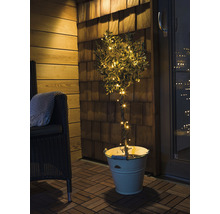 Decoratieve boom met lichtjes in een pot op een terras