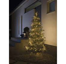 Verlichte kerstboom buiten voor een huis.