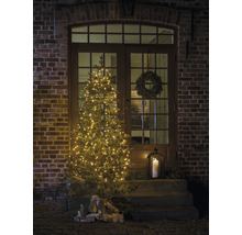 Versierde voordeur met verlichte kerstboom, adventskrans en lantaarn voor een feestelijke sfeer