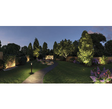 Verlichte tuin met pad, bomen, struiken en bloemen in de schemering.