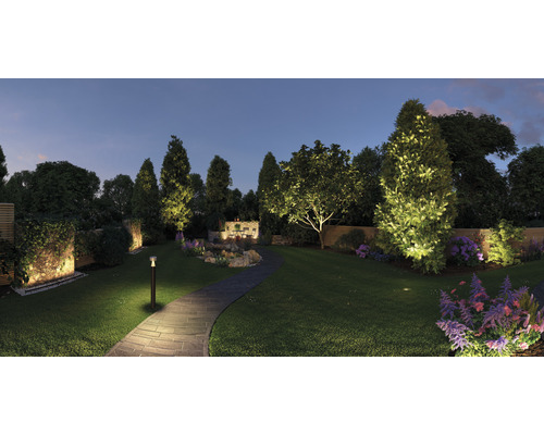 Verlichte tuin met pad, bomen, struiken en bloemen in de schemering.