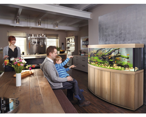 Familie kijkt naar aquarium in de woonkamer met vissen en planten