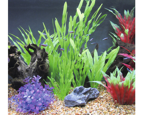 Decoratief aquarium met planten, wortelhout en vissen
