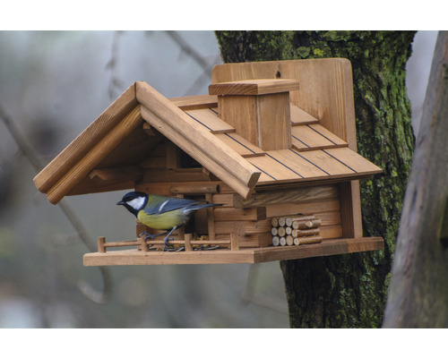 Vogelhuis in blokhutstijl met koolmees