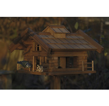 Vogelhuis in chaletstijl met pimpelmees