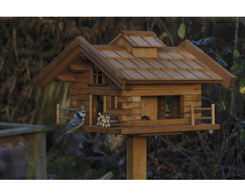 Vogelhuis in chaletstijl met pimpelmees