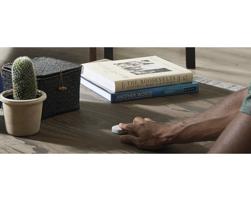 Decoratieve woonkamer met cactus, opbergmand, boeken en persoon die een slimme knop bedient