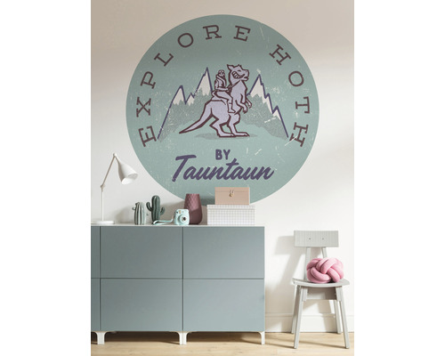 Wanddecoratie met een motief uit de Star Wars saga in een kinderkamer.