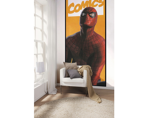 Decoratieve kamer met fauteuils, kussens, deken en Spider-Man-poster