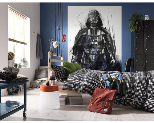 Jongenskamer met Star Wars muurschildering, bed en meubels