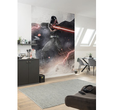 Woonkamer met een fotobehang van een Star Wars-figuur aan de muur.