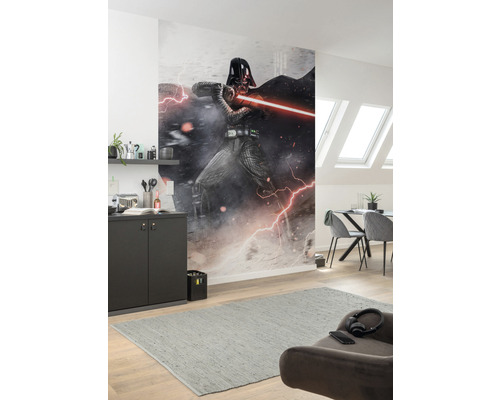 Woonkamer met een fotobehang van een Star Wars-figuur aan de muur.