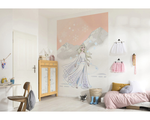 Meisjeskamer met een fotobehang met een motief uit de film Frozen