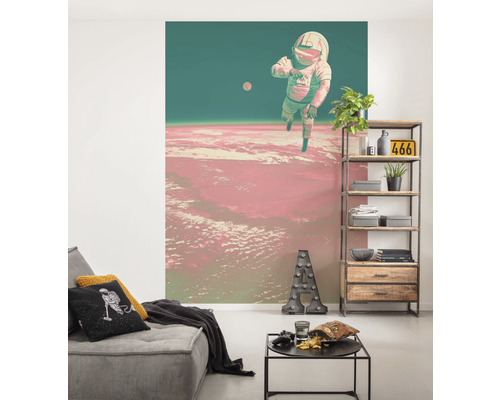 Woonkamer met astronautenfotobehang, bank en plank