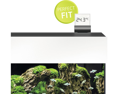 Aquarium met temperatuurweergave en het keurmerk perfecte pasvorm