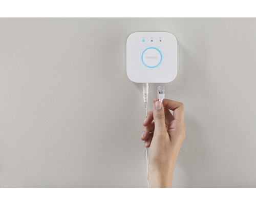 Philips Hue Bridge met netwerkkabel in de hand