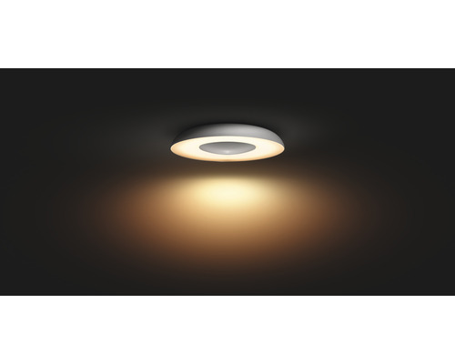 Ronde plafondlamp voor ruimteverlichting