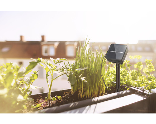 Balkonbak met groenteplanten en een bodemsensor