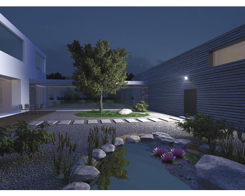 Verlichte tuin met vijver, stenen, planten en modern huis