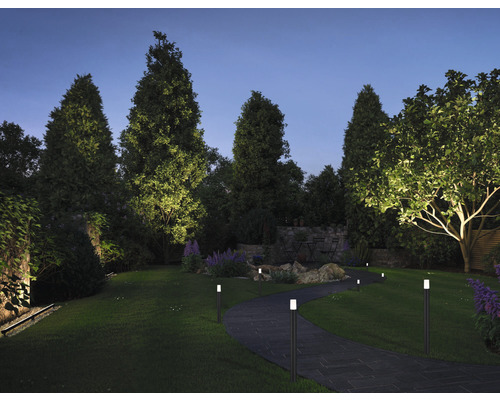 Verlichte tuin met pad en bomen in de nacht