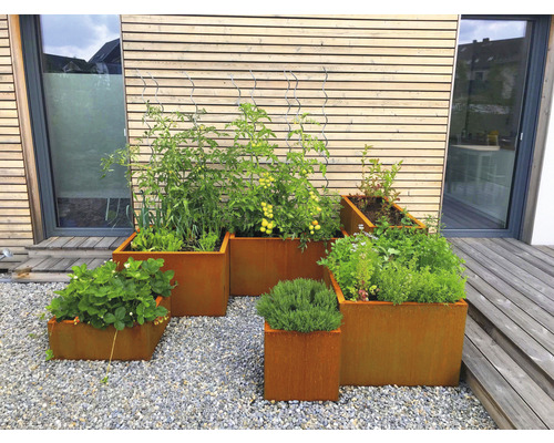 Meerdere metalen plantenbakken met planten op een grindpad voor een huis.