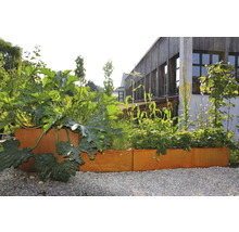 Verhoogde tuinbak met planten in de tuin voor een gebouw