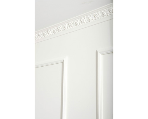 Wandpaneel met sierlijst aan het plafond