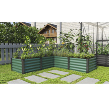 Verhoogde tuinbedden in de tuin met groenten en planten.