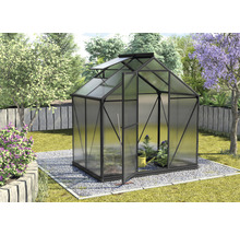 Tuinkas met open deur en dakraam in de tuin