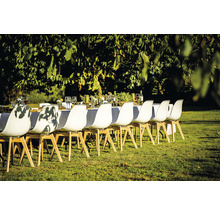 Scene van een gedekte tafel in de buitenlucht met witte stoelen op een gazon