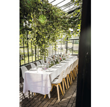 Tafeldecoratie in een kas met planten, serviesgoed, kaarsen en stoelen