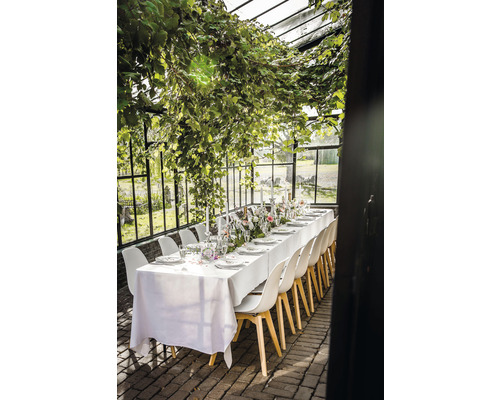 Tafeldecoratie in een kas met planten, serviesgoed, kaarsen en stoelen