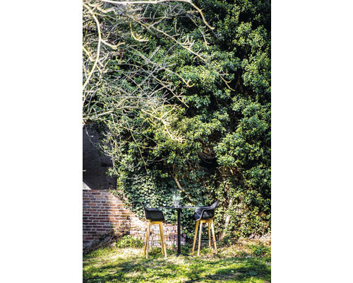 Tuinscène met bistrotafel en twee barkrukken voor een begroeide muur