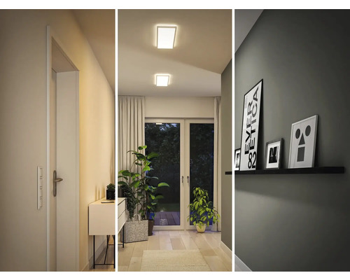 Hal met deur, dressoir, kamerplanten, plafondlampen en wandplank met foto''s