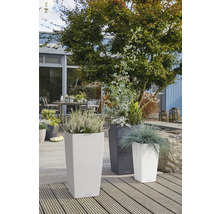 Drie hoge plantenbakken met beplanting op een houten terras