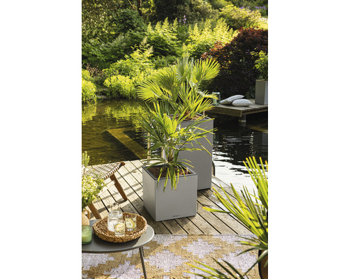 Scene met twee vierkante plantenbakken met palmbomen op een houten terras aan een meer.