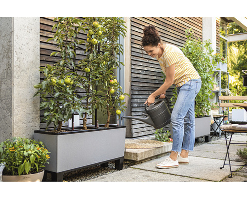 Vrouw geeft appelbomen water in een plantenbak op een terras
