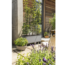 Terras met beplante plantenbak en latwerk